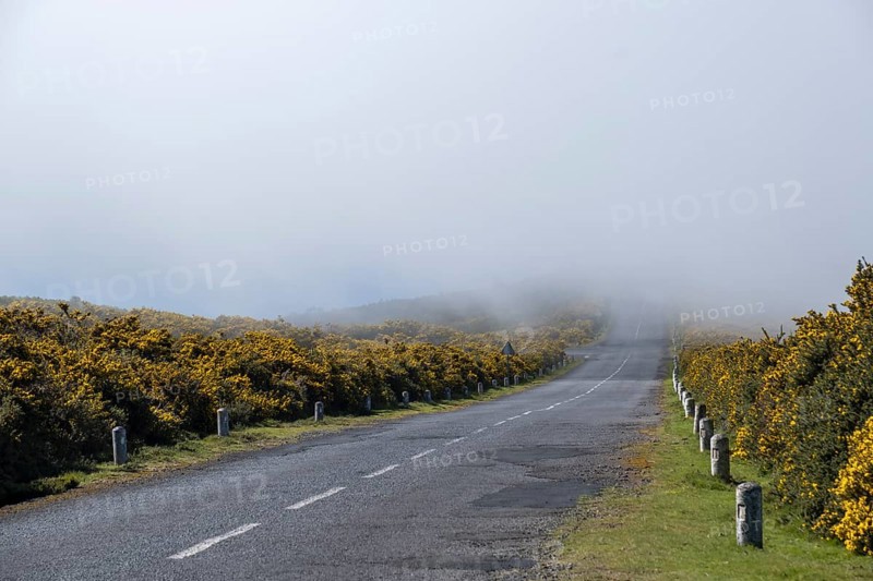 Road