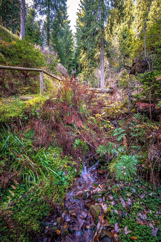 A small stream in the Schoenjungferngrund in the Ore Mountains