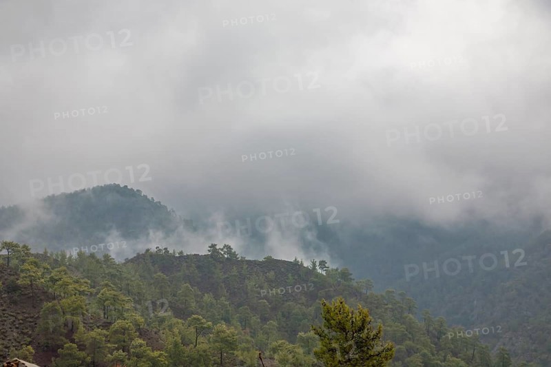 Fog
