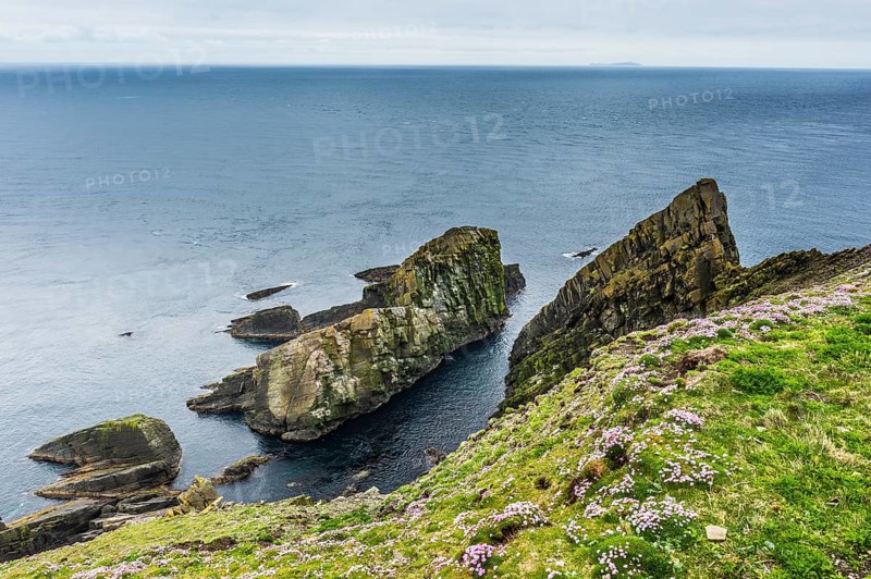 The steep cliffs of Sumburgh head