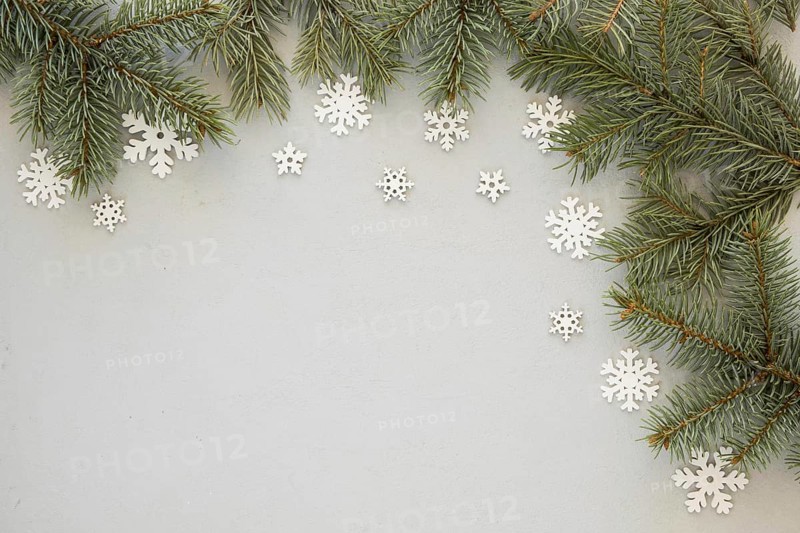 Pine needles snowflakes background