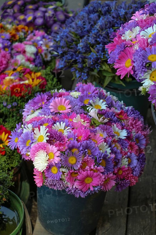Beautiful bouquet of flowers on street flower vendor