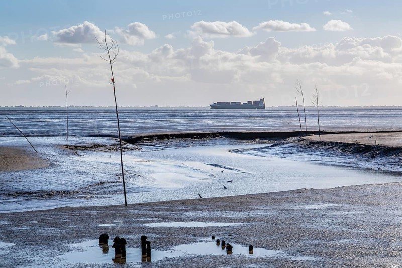 Tidal creek am Wadden Sea mit Containerschiff in der Wesermuendung