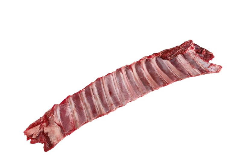 Raw fresh deer ribs isolated on white background
