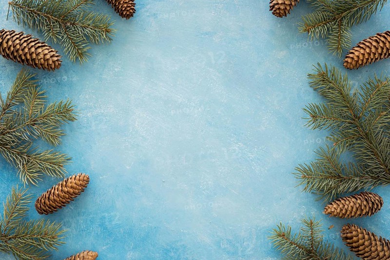 Frame wreath pine needles cones