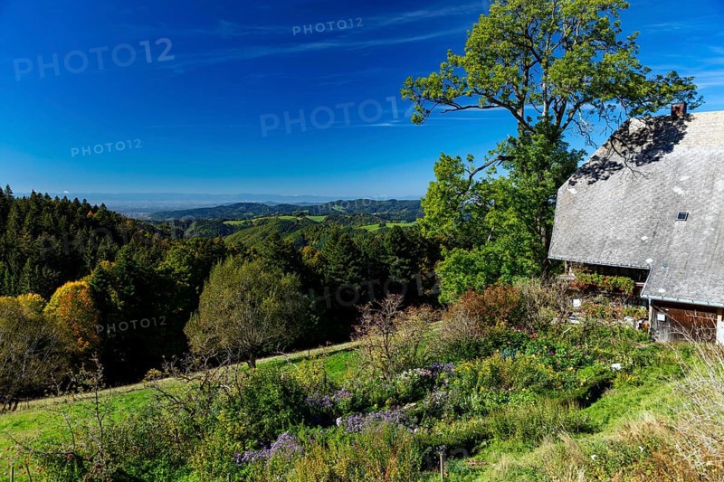 Farm with farm garden and view into the valley