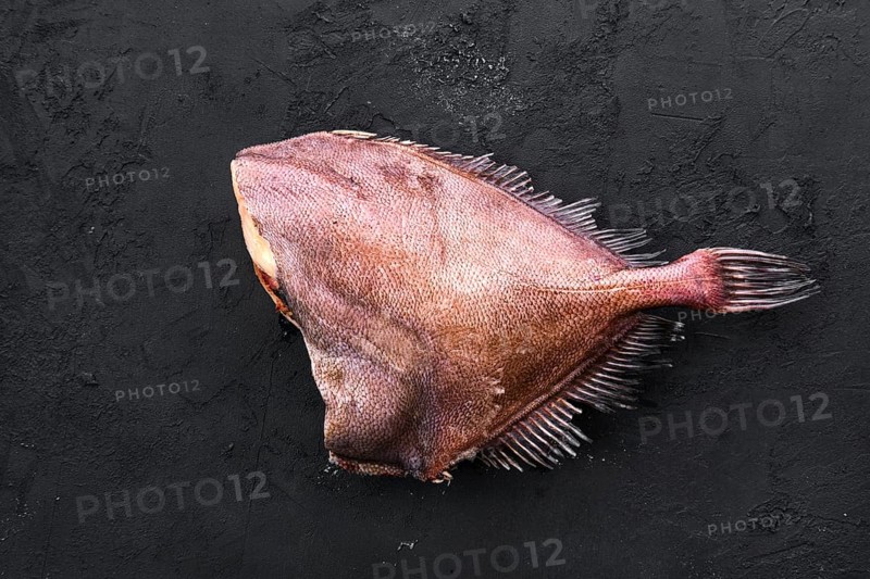 Raw crimson sea bream on black concrete background