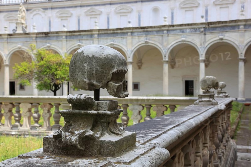 Skull in the monks' cemetery