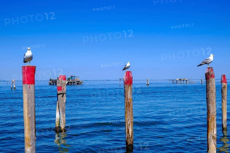 On the lagoon