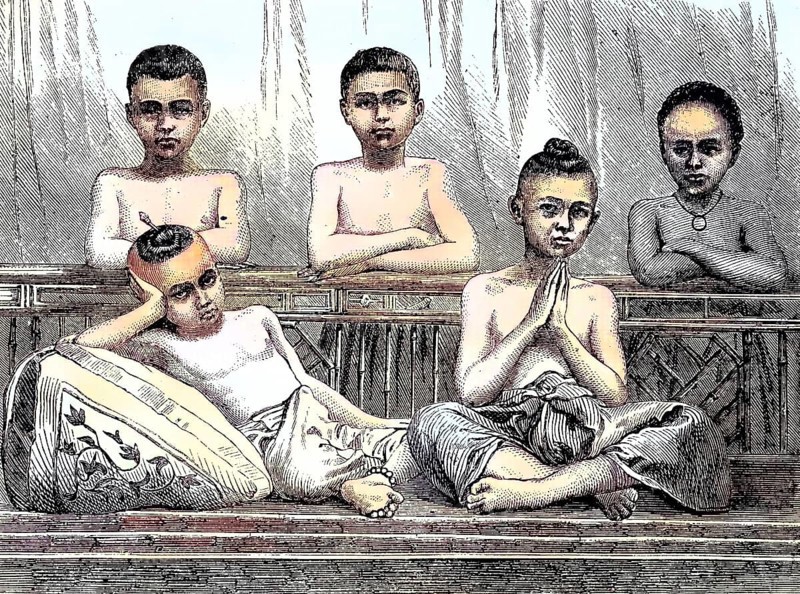 Novices