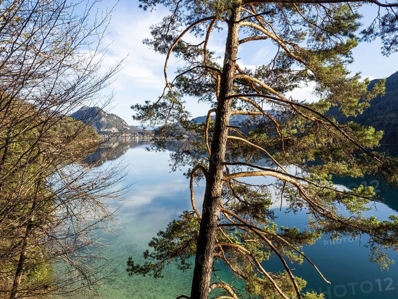 Near Fuschl am See