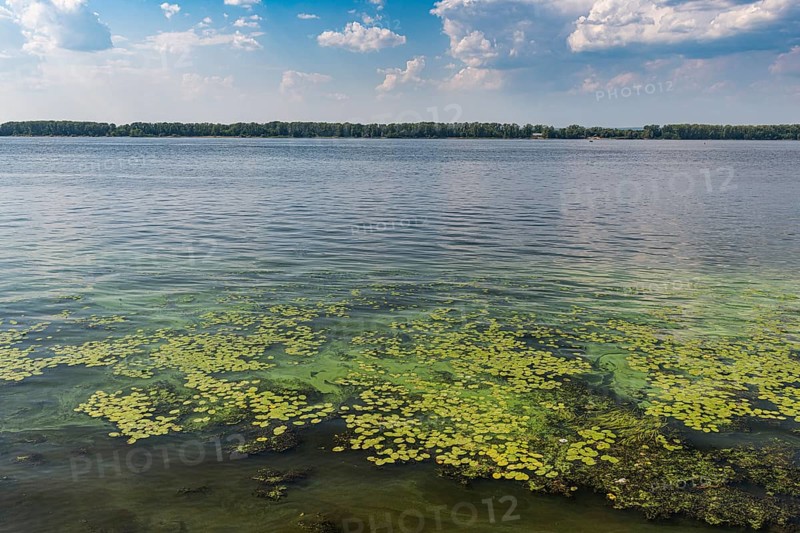 River banks of the Volga
