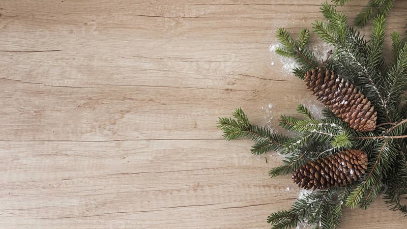 Coniferous twigs snags and ornament snow