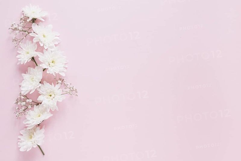 Flowers background