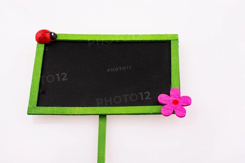 Green framed signboards with a flower and ladybug on a white background