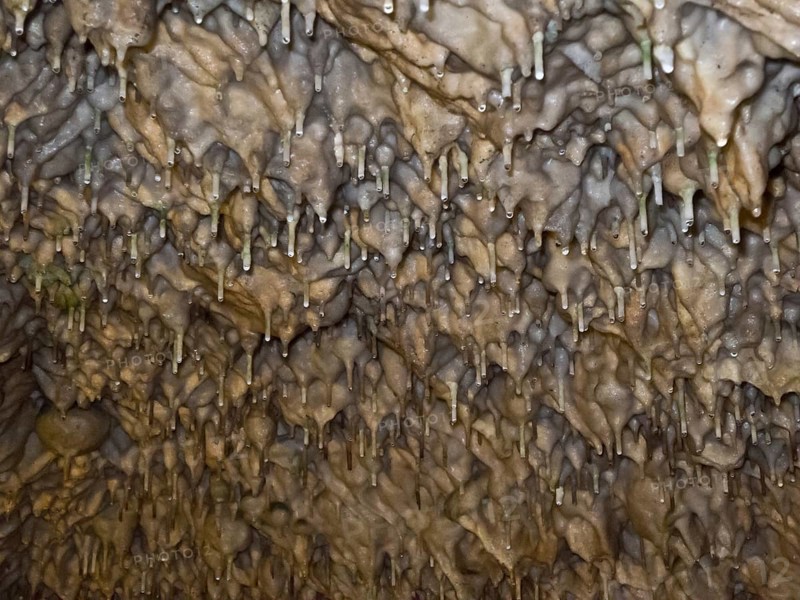 Stalactite formations in the Baerenhoehle
