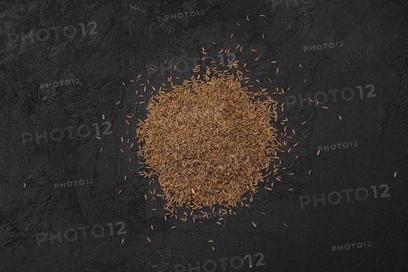 Pile of caraway scattered on dark background