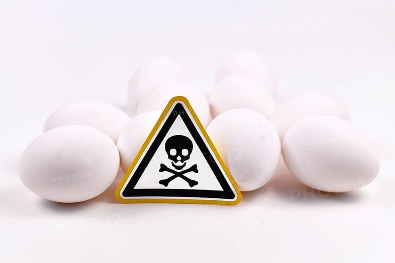 Concept for unhealthy or toxic substances in food like antibiotic residues or salmonella bacteria with skull warning sign on raw eggs on white background