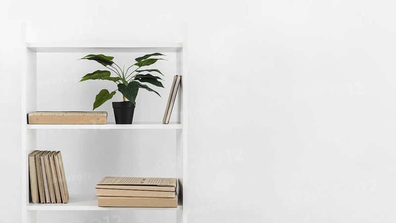 Nordic style bookshelf with plant