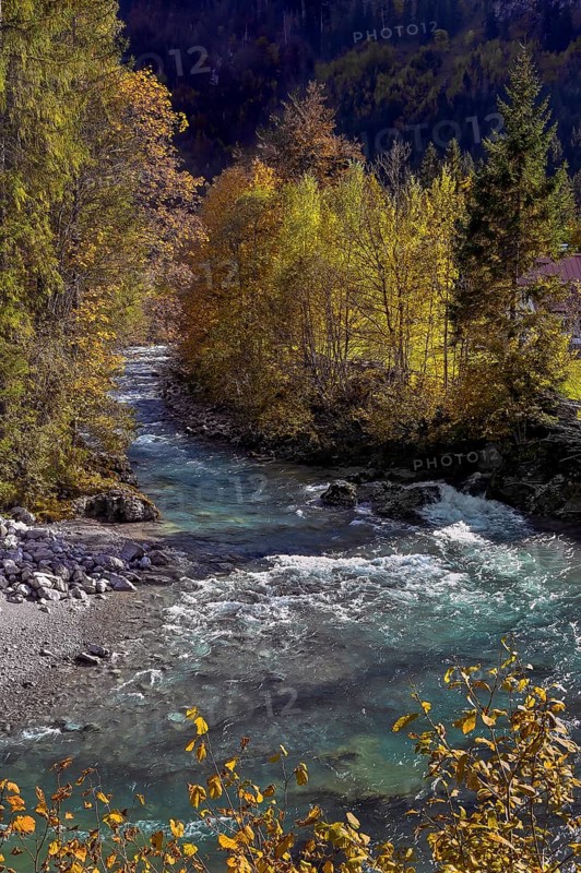 The Ostrach in the autumnal Ostrachtal