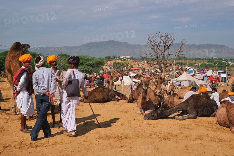Pushkar