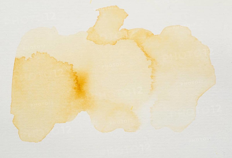 Orange paints white paper