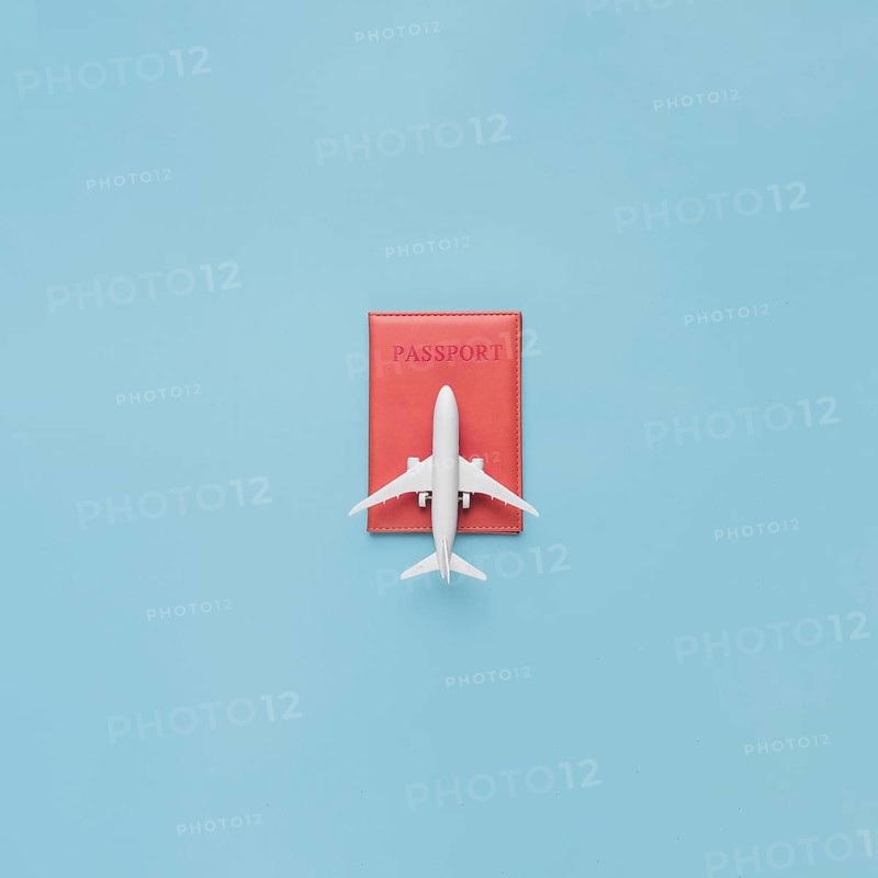 Passport red case toy plane