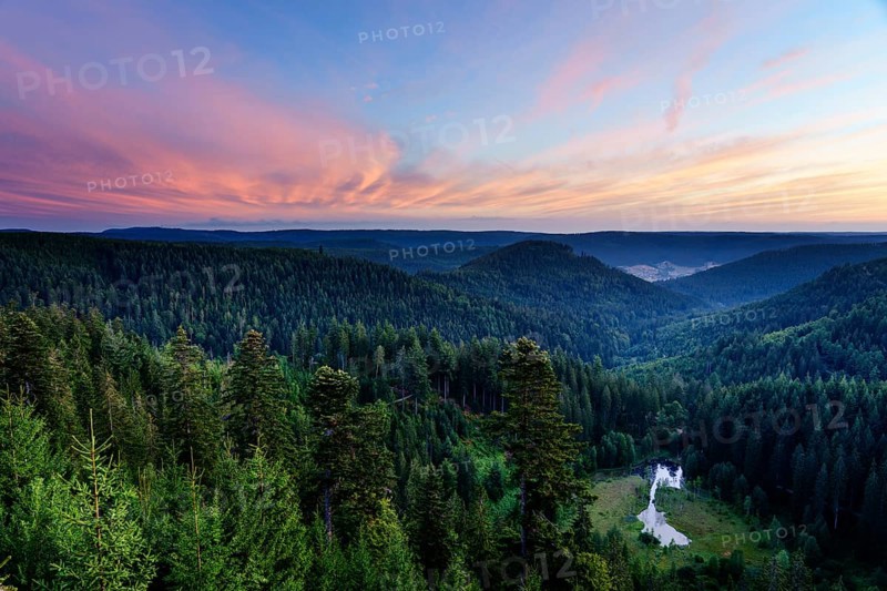 View from the Ellbachseeblick viewing platform