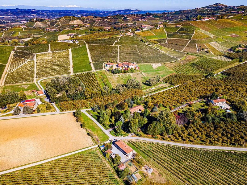 Aerials of the wineyards around Castle of Grinzane Cavour