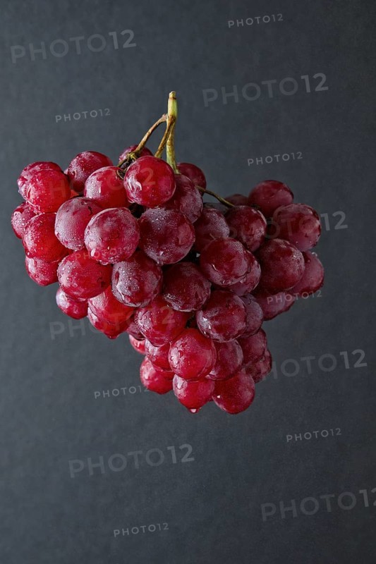 Branch of big red grape