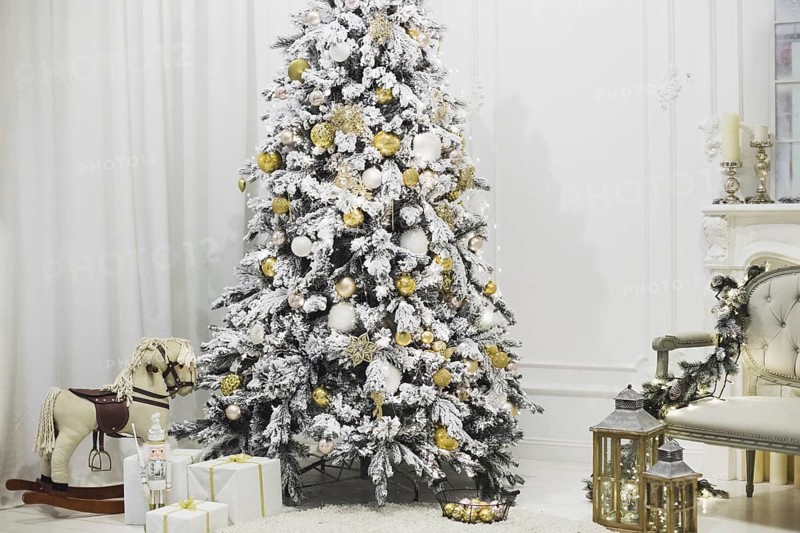 Christmas tree living room