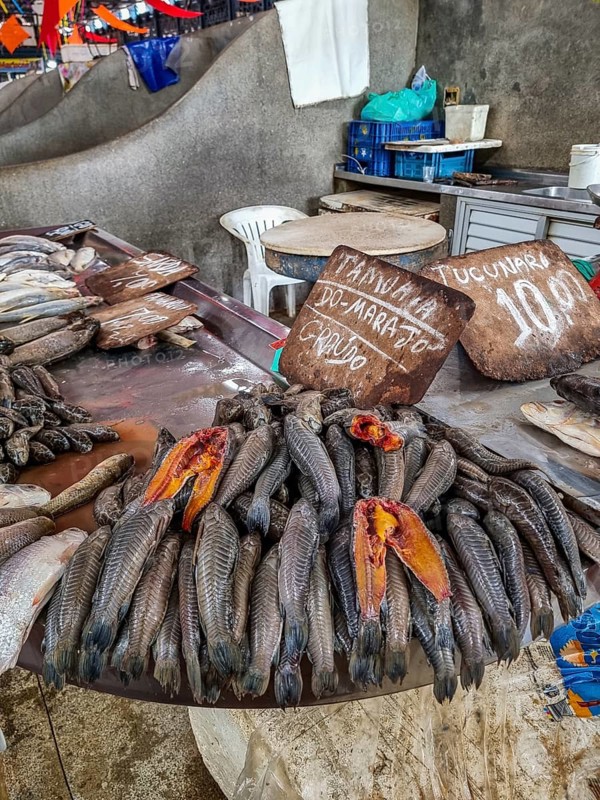 Fresh fish for sale