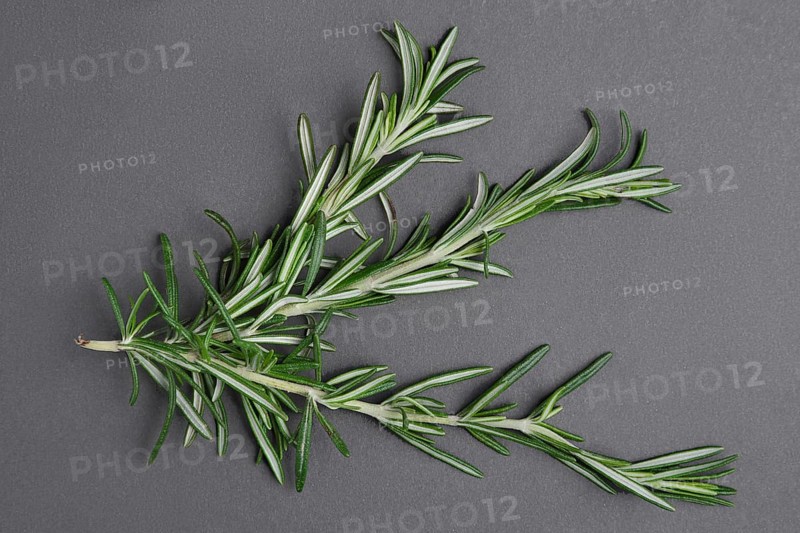 Top view of bunch of rosemary on grey background