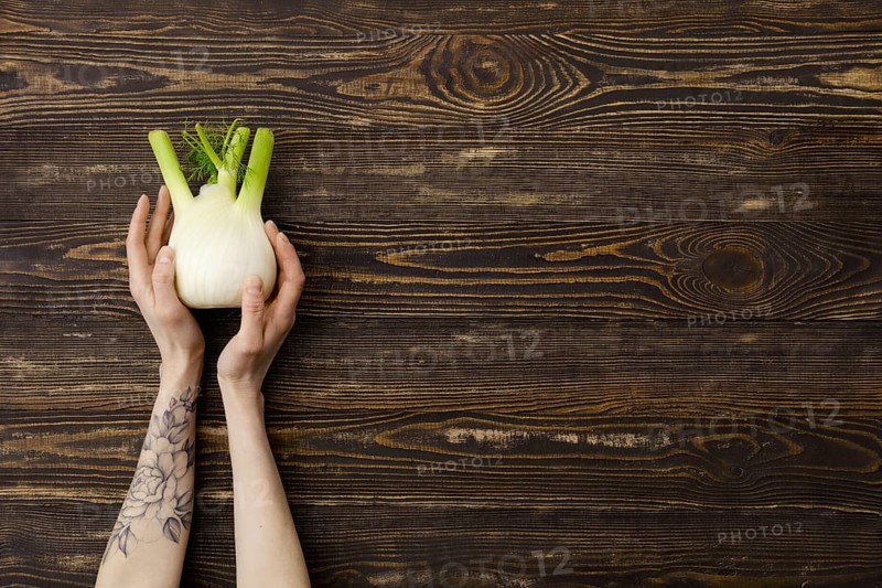 Overhead view of fresh fennel bulb in hands over wooden background