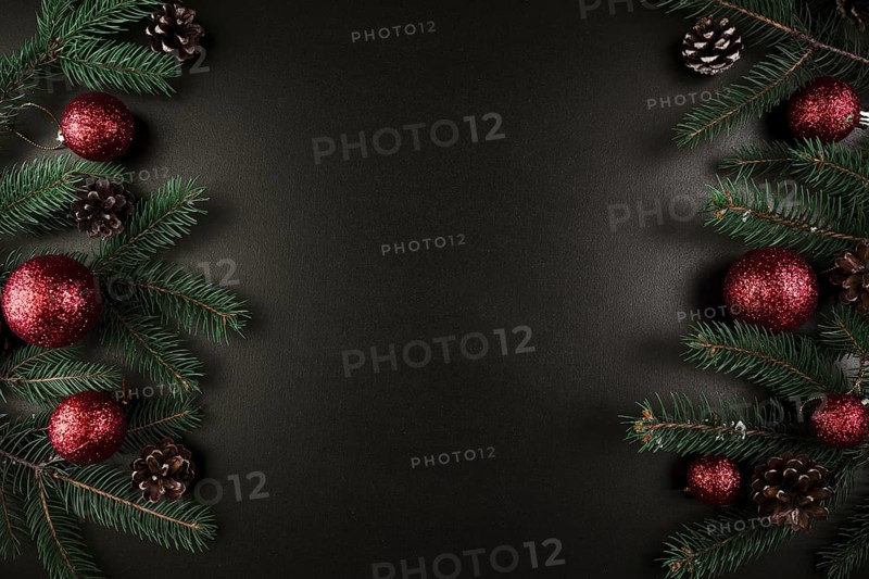 Christmas composition of green fir tree branches with red baubles