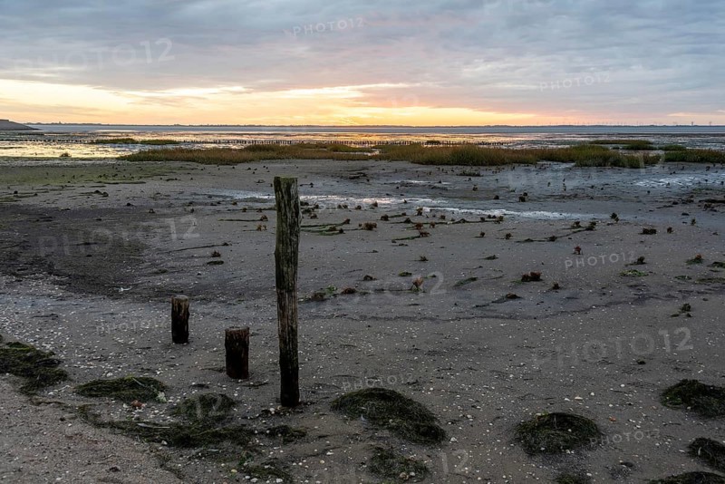 Sunrise at low tide
