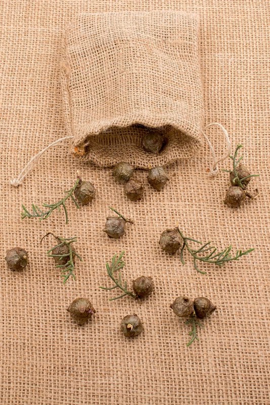 Plant pods