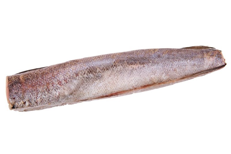 Raw hake isolated on white background