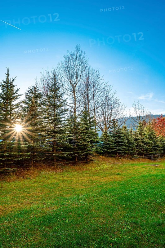 Sun star in autumn under a blue sky