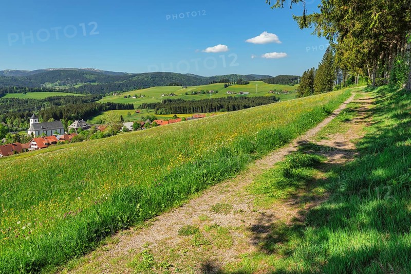 View over Breitnau to the Feldberg in spring