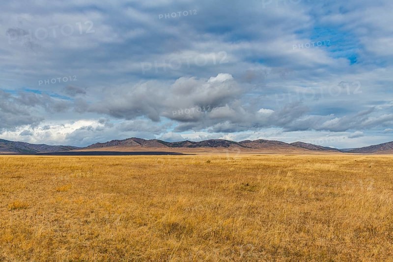 Steppe scenery