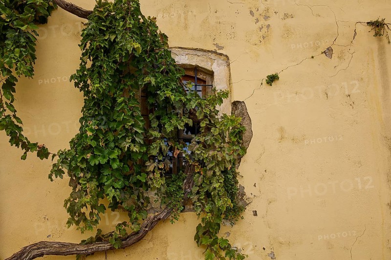 Yellow cracked house wall