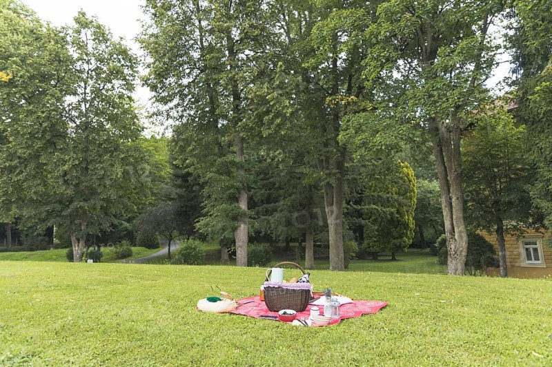 Picnic basket grass field