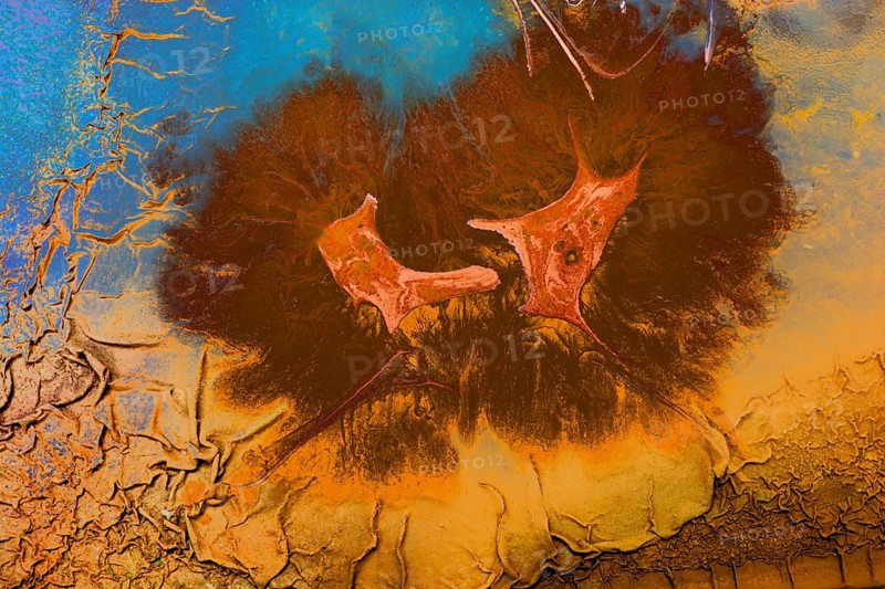 Ebru marbling handmade art