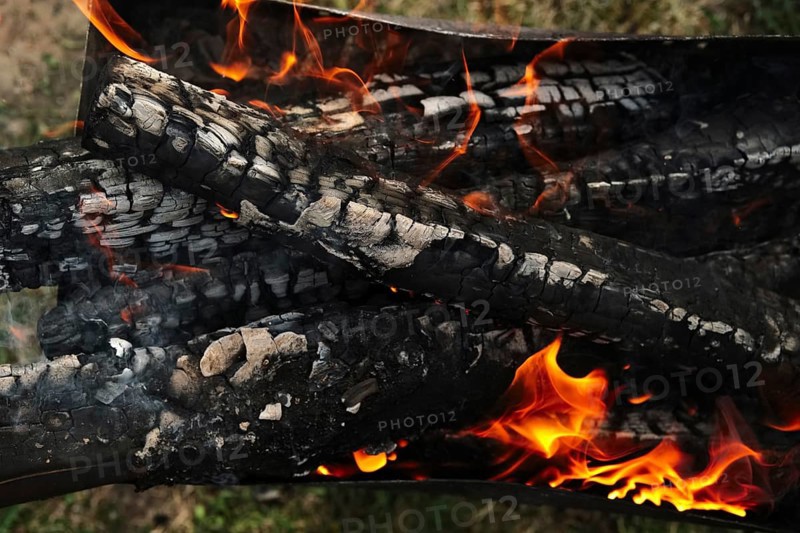 Close up view of burning firewood in the fire outdoor