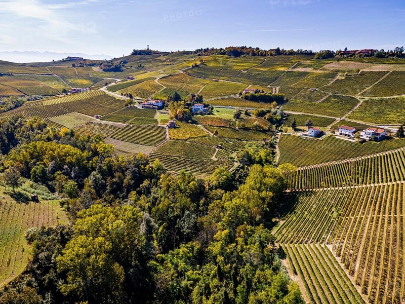 Aerials of the wineyards around Barolo