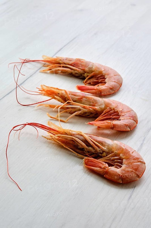 Three fresh raw prawns on wooden background