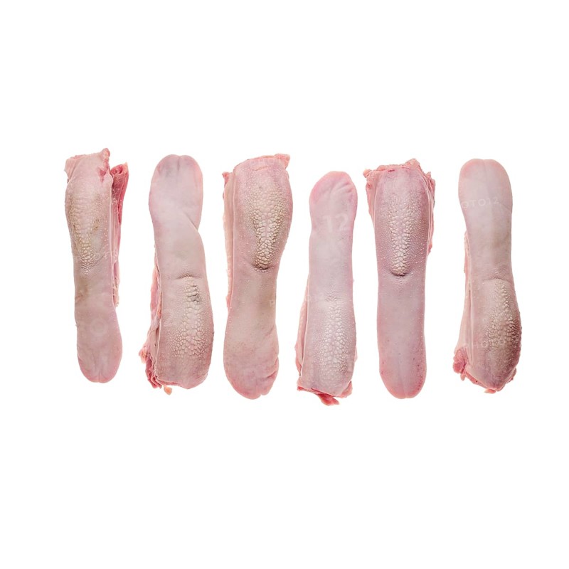 Fresh raw lamb tongue isolated on white background