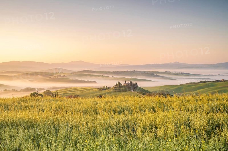 Podere Belvedere