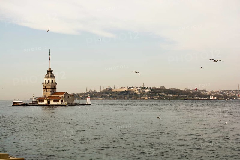 Maiden's Tower located in the Bosphorus surrounded by Seagulls